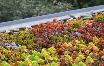 the cost of Inglesbatch green roof installation