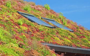 Inglesbatch living roof systems